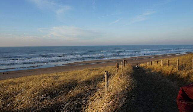 The Dutch Coast